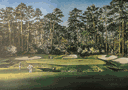 print of the 13th hole at Augusta golf club, U.S.A. from a painting by Ken Reed