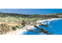 print of Pebble Beach golf course, U.S.A. from a painting by Ken Reed